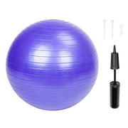 Evergreen Beauty & Health Purple 65cm Explosion-proof Yoga Ball